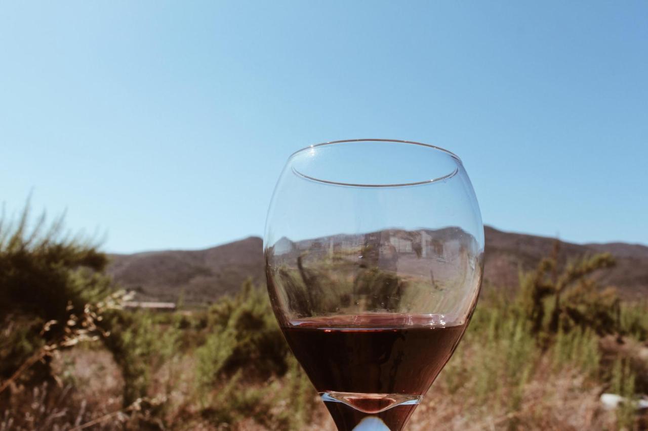 Quintas Marlet En La Ruta Del Vino Ensenada Kültér fotó