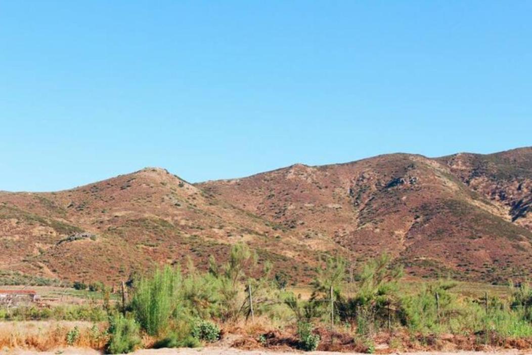 Quintas Marlet En La Ruta Del Vino Ensenada Kültér fotó